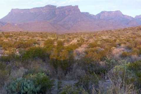 Camping in Texas - Big Bend Campsites