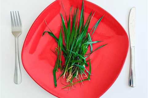 Can You Eat Grass in a Survival Situation?