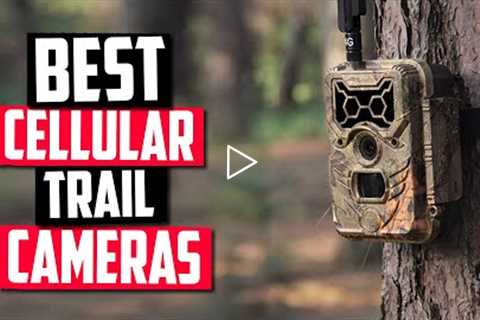 Best Cellular Trail Camera in 2022 [Top 5 Picks For Any Budget]