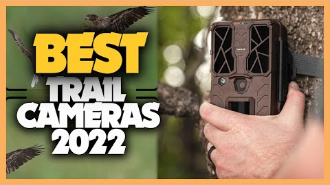 9 Best Trail Cameras 2022