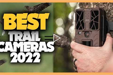 9 Best Trail Cameras 2022