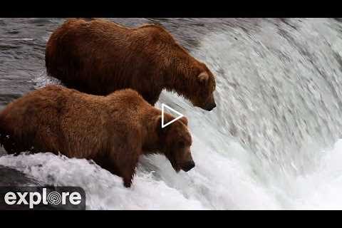 Brooks Falls - Katmai National Park, Alaska 2022 powered by EXPLORE.org