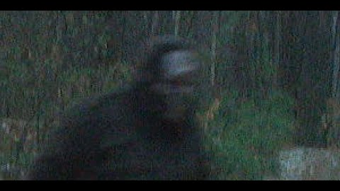 Wildlife Bigfoot Trespassers Trail Cam Pictures