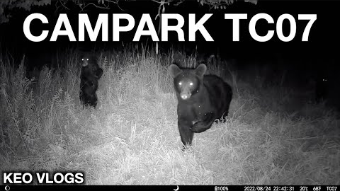 Campark TC07 Trail Cam In Action