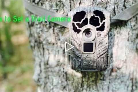 How to Set Up a Trail Camera!!