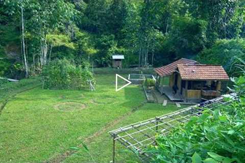 A peaceful day in a fairyland, Digging reserve taro - Building a life alone in the wilderness