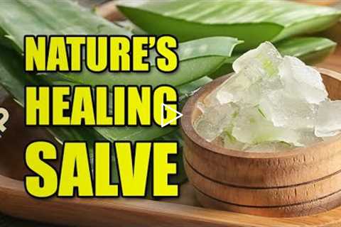 How to Make Aloe Vera Powder (Freeze Dried and Dehydrated)