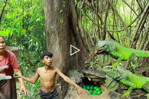 Survival skills-Man with woman found big iguana in the forest & take egg for cook -Eating..