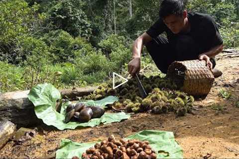 Nolan's lucky day, lots of delicious food to be found, survival in the tropical rainforest, ep 203