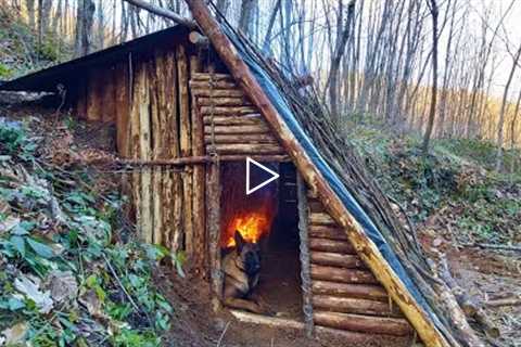Bushcraft Skills - Build Survival Tiny House - Winter Camping - Off Grid Shelter - Diy - Asmr