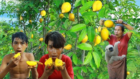 Survival skills-Man with woman found chocolate fruit for eat -Eating delicious