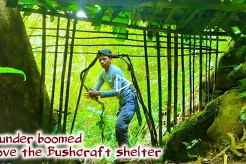 Bushcraft building complete survival skills building shelter | solo bushcraft