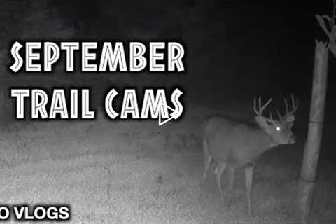 Bailey Farm Trail Cams Early September 2022