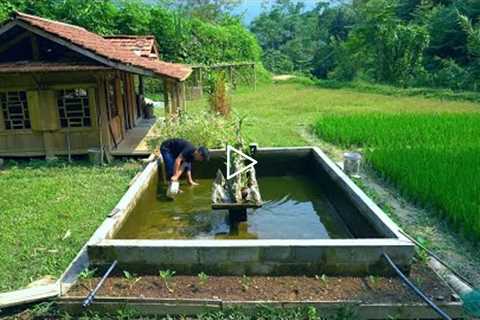 Taking care of newly laid chicks, Cleaning fish tank - Forest life skills