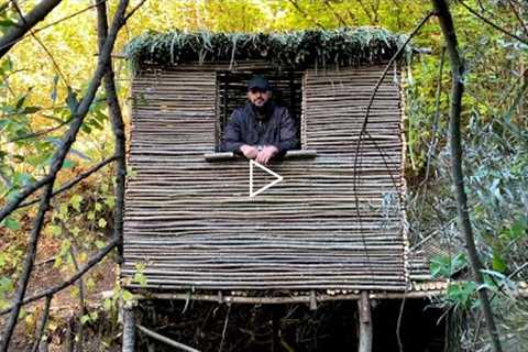 Building a Log Cabin in the Woods - Bushcraft Camping, Survival Skills, Forest Film, Camp Cooking