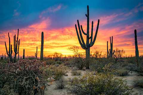 Camping World’s Guide to RVing Saguaro National Park