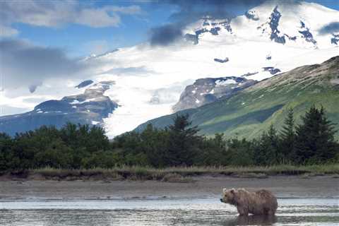 Camping World’s Guide to RVing Katmai National Park