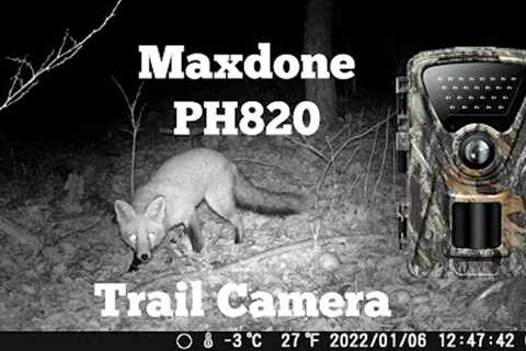 Maxdone PH820 Trail Camera Review
