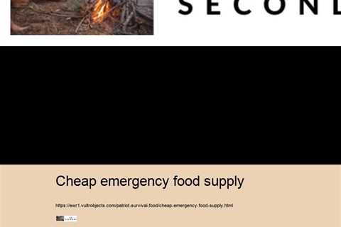 cheap emergency food supply