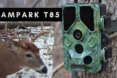 Trail / Game Camera Review - CamPark T85