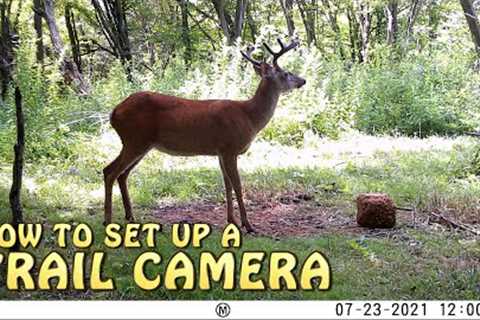 How To Put Up A Trail Camera (Height, Distance) ~ Includes Awesome Game Cam Videos!!