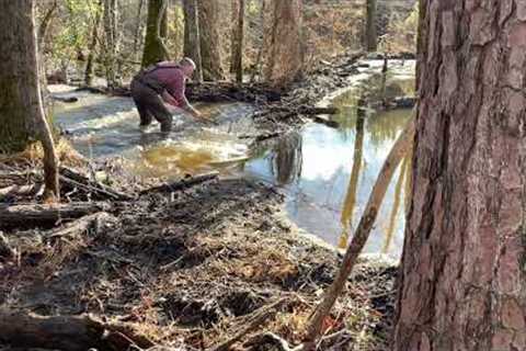 Tinkertoy vs the Beaver Dam, again.  Episode 4: Trail Cam Fail