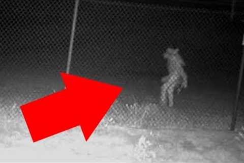 SHOCKING Trail Cam Footage You Won’t Believe Is Real