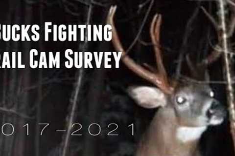 4 Years of Bucks Fighting ( New England Trail Camera Survey)