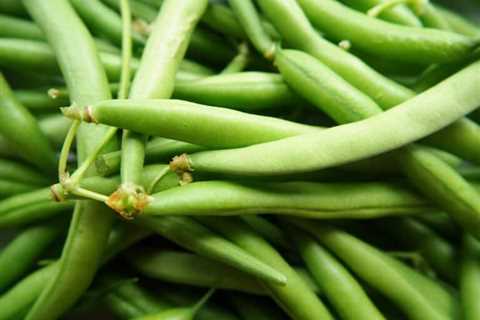 So, Can You Eat Raw Green Beans for Survival?
