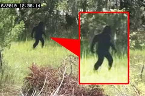 Trail Cam Captures Terrifying Creature No One Was Supposed to See