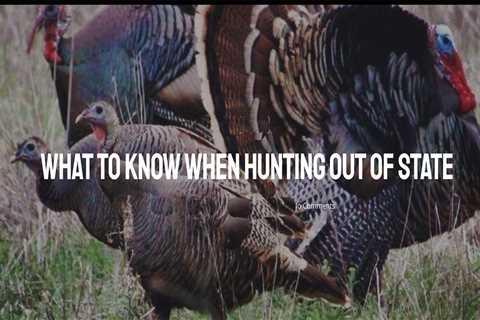 Important Tips For Hunting Out Of State