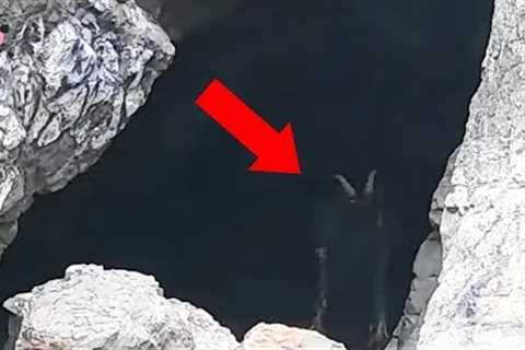 10 Mysterious Creatures Caught on Camera