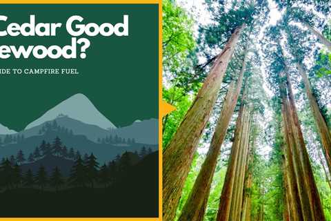 Is Cedar Good Firewood?