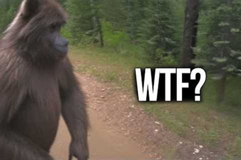 STRANGEST Trail Cam Captures EVER Recorded