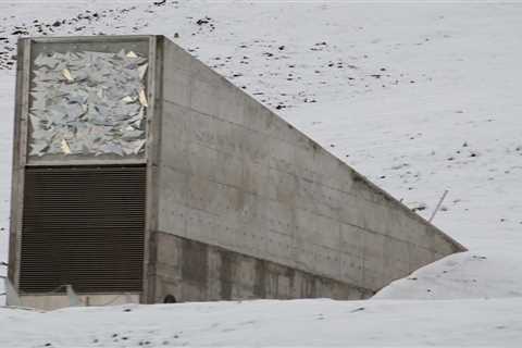 The Ultimate Safe Haven for Seeds: Discovering the Svalbard Global Seed Vault