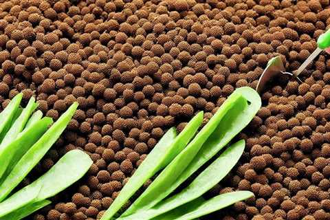 Master the Best Practices for Disinfecting Seeds for Healthy Sprouting: How-To Guide