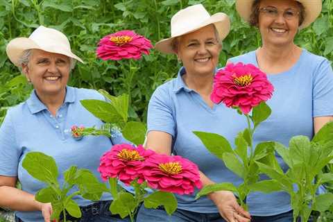 Ultimate Troubleshooting: Why Aren’t My Zinnia Seeds Sprouting?