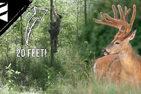 How High Is Too High When Hanging Trail Cameras?