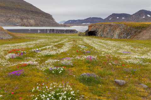 Svalbard Global Seed Vault Art