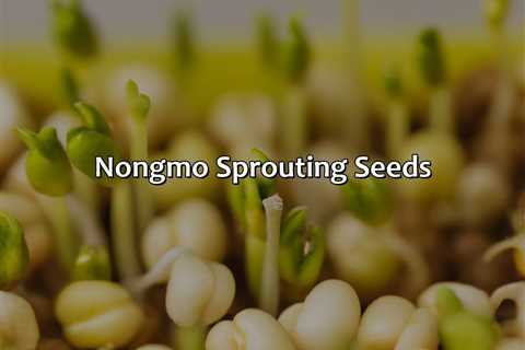 Non-Gmo Sprouting Seeds