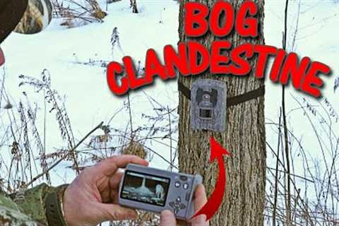 BOG Clandestine 18MP Removeable 3 Viewer: Trail Camera Field Test and Review Sample Photos Videos!