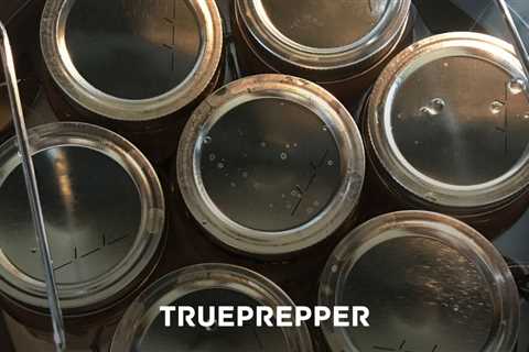 Best Canning Kit for Prepper Long-Term Food Storage