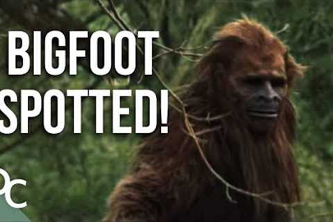 Shocking Bigfoot Sighting Evidence! | Bigfoot Encounters | Full HD | Documentary Central