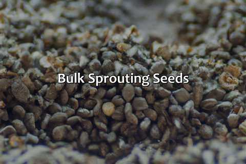 Bulk Sprouting Seeds