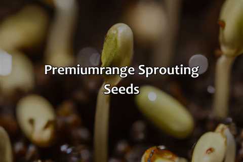 Premium-Range Sprouting Seeds