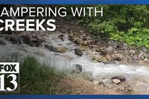 Trail cams find Millcreek flooding caused by hikers creating barriers