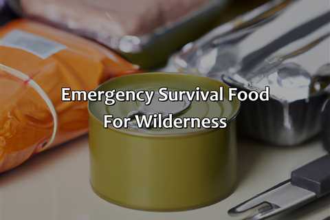 Emergency Survival Food For Wilderness
