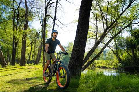 iDeaPlay Electric Mountain Bike Review