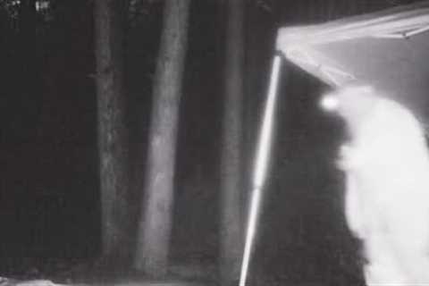 TRAIL CAM CAPTURES SOMETHING STRANGE IN THE WOODS!!