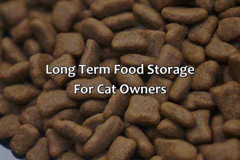 Long Term Food Storage For Cat Owners